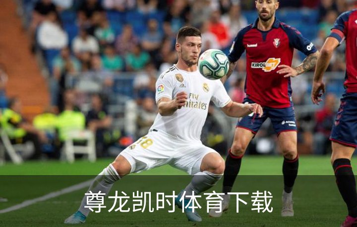 尊龙凯时体育下载概况
