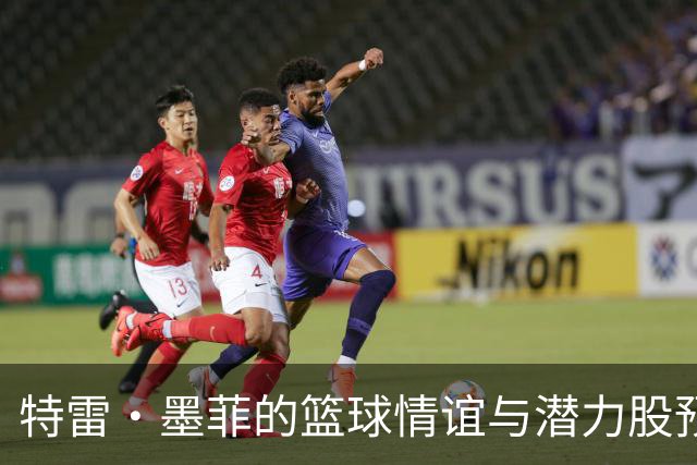 特雷·墨菲的篮球情谊与潜力股预测